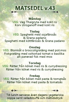 Matsedel