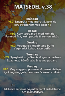 Matsedel