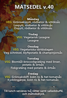 Matsedel